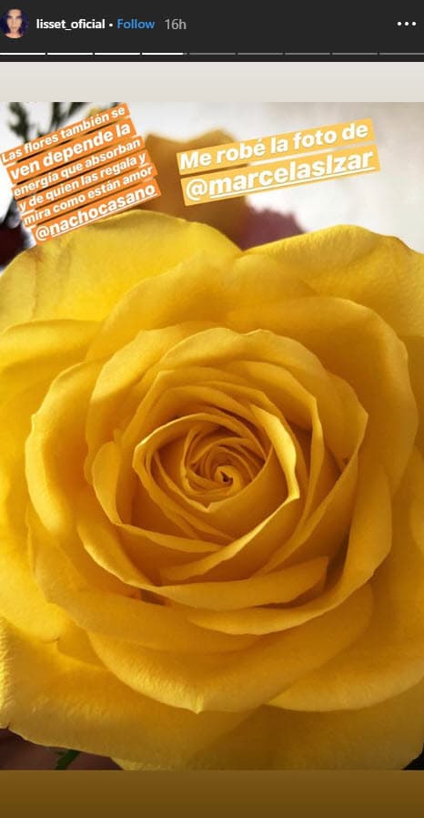 Aunque ninguno de los dos famosos lo confirmó, Lisset publicó esta imagen en sus historias de Instagram donde llama a Ignacio "amor": "Las flores también se ven depende la energía que absorban y de quién las regala, y mira como están amor @nachocasano".
<br>