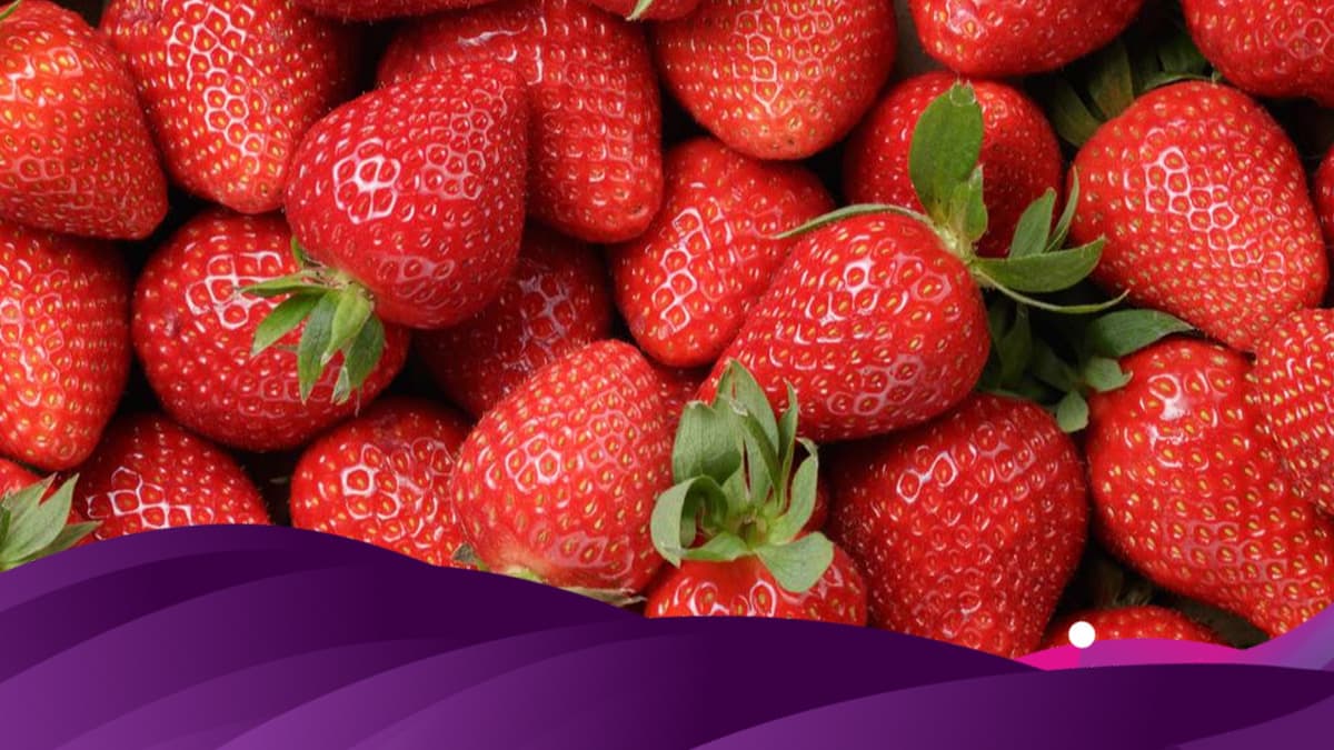 <b>Frutos rojos.</b> Destacan por la gran cantidad de antioxidantes que contienen.