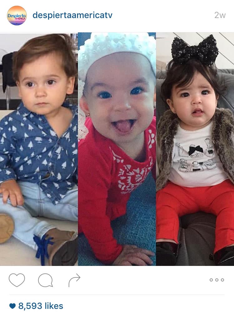 ¡Los bebés de la casita nos robaron el corazón!