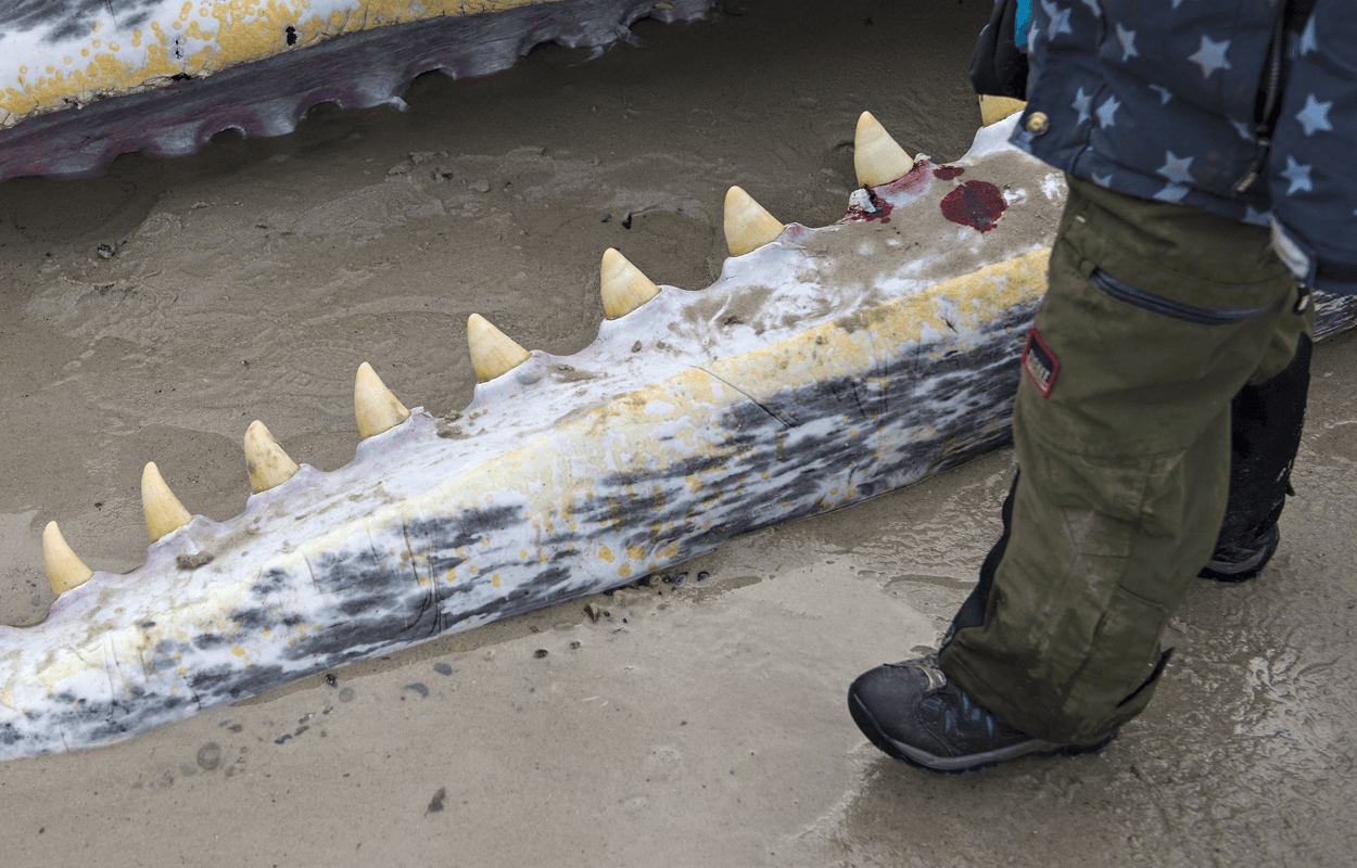 Diente de ballena: Demuestra respeto al suegro en Fiji.