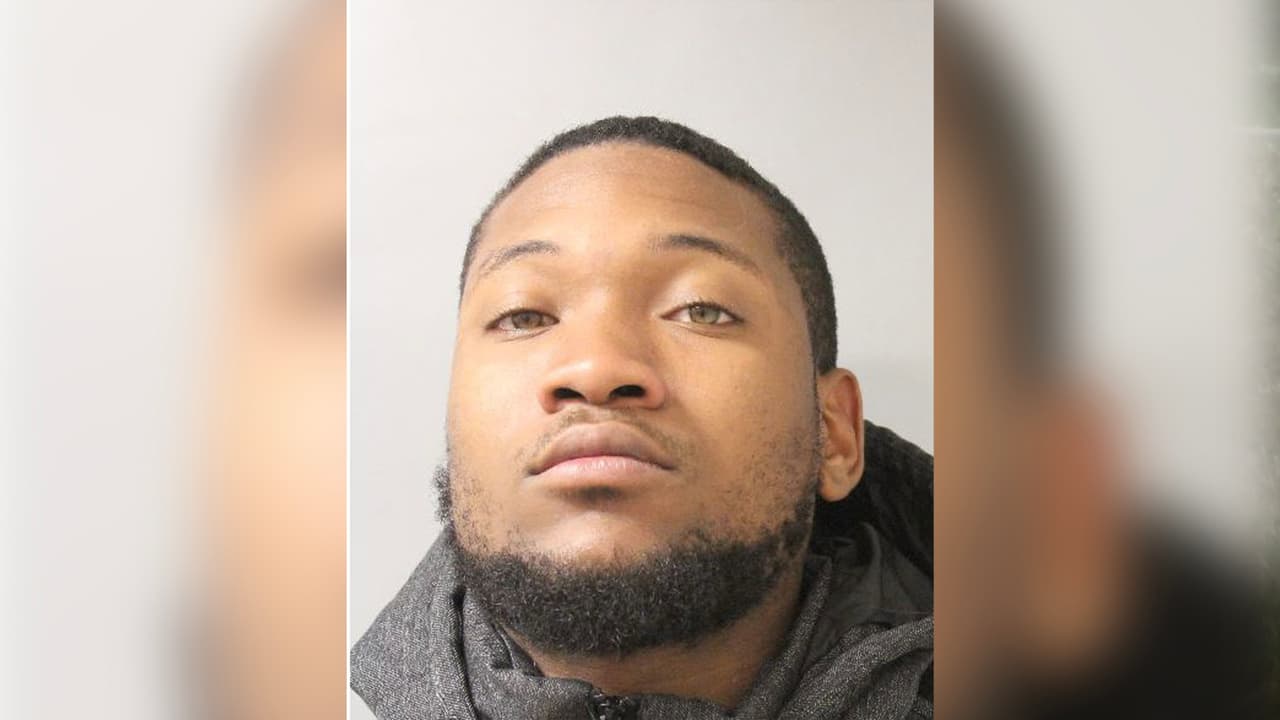 Condenan a un hombre a seis años de prisión por pisotear el gato de su novia hasta matarlo