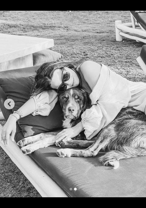 <b>"El 'Amor' que me sorprendió en la Isla",</b> escribió la regiomontana a través de Instagram, en donde apareció con el canino. 
<br>