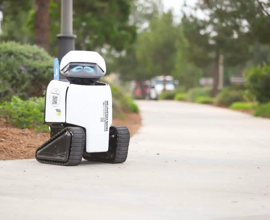 Los robots identificarán la 
<b>amplitud de las banquetas, los espacios para caminar y para cruzar, las superficies de las banquetas y sus posibles peligros</b>, así como otros conceptos de accesibilidad.
<br>
<br>Esta información ayudará a que en un futuro, ingenieros realicen planes de infraestructura vial apegados a la inclusión de personas con discapacidades.