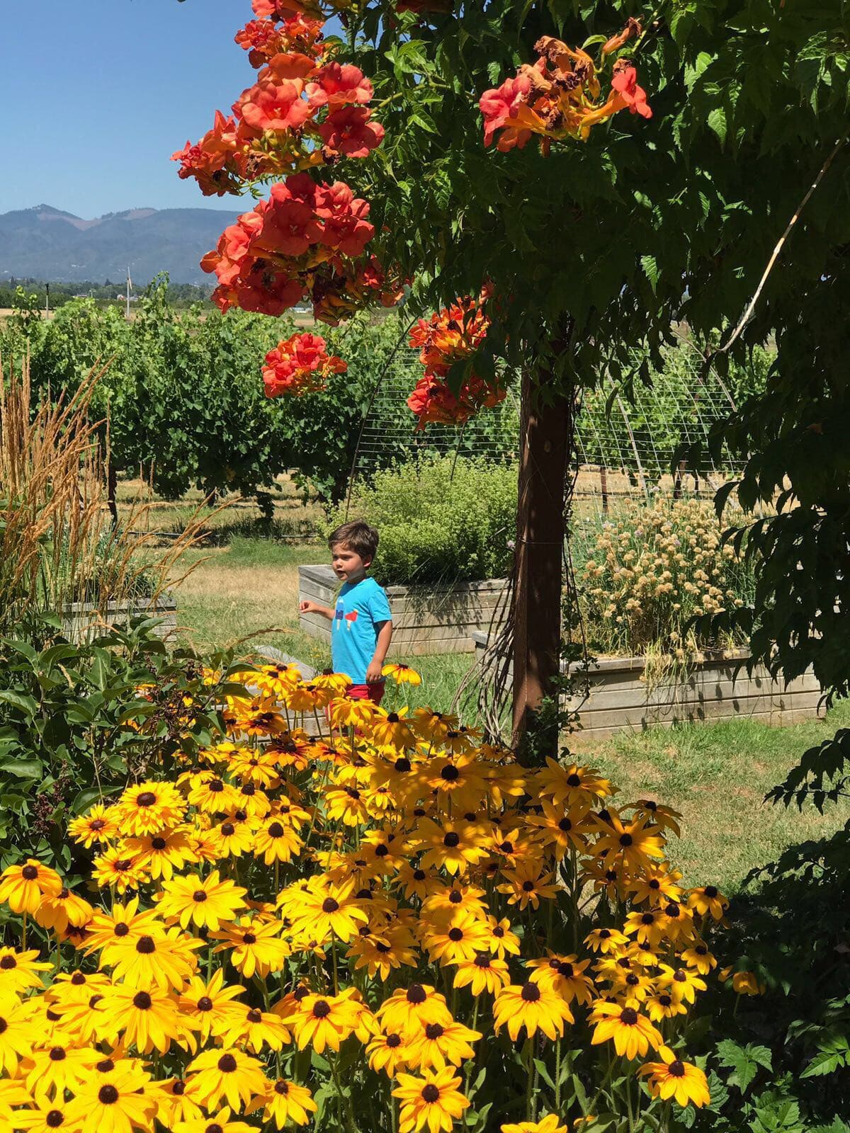 Bruce descubriendo lo bella que es la naturaleza.