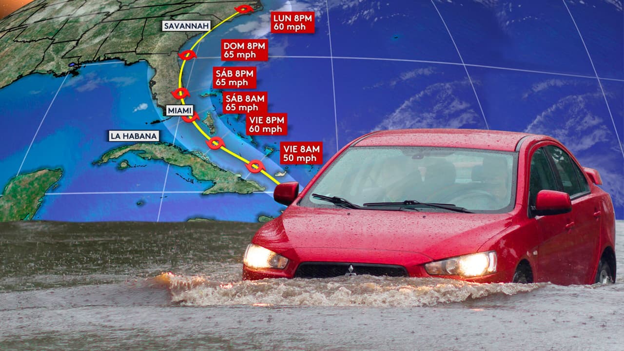 Las inundaciones pueden ser muy peligrosas no solo para seres vivos, sino también para tus activos. Aquí te damos algunos consejos para ayudarte a proteger tu(s) vehículo(s) ante una inminente inundación.