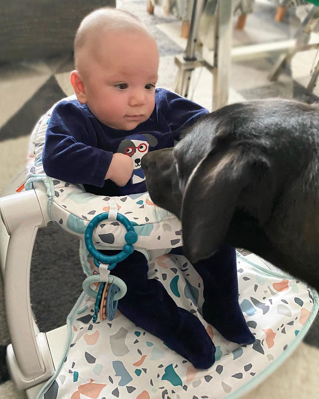 Andrea Chediak se goza los días en casita disfrutando de la compañía de su 'baby Diego', quien ya es gran amigo de su mascota.
