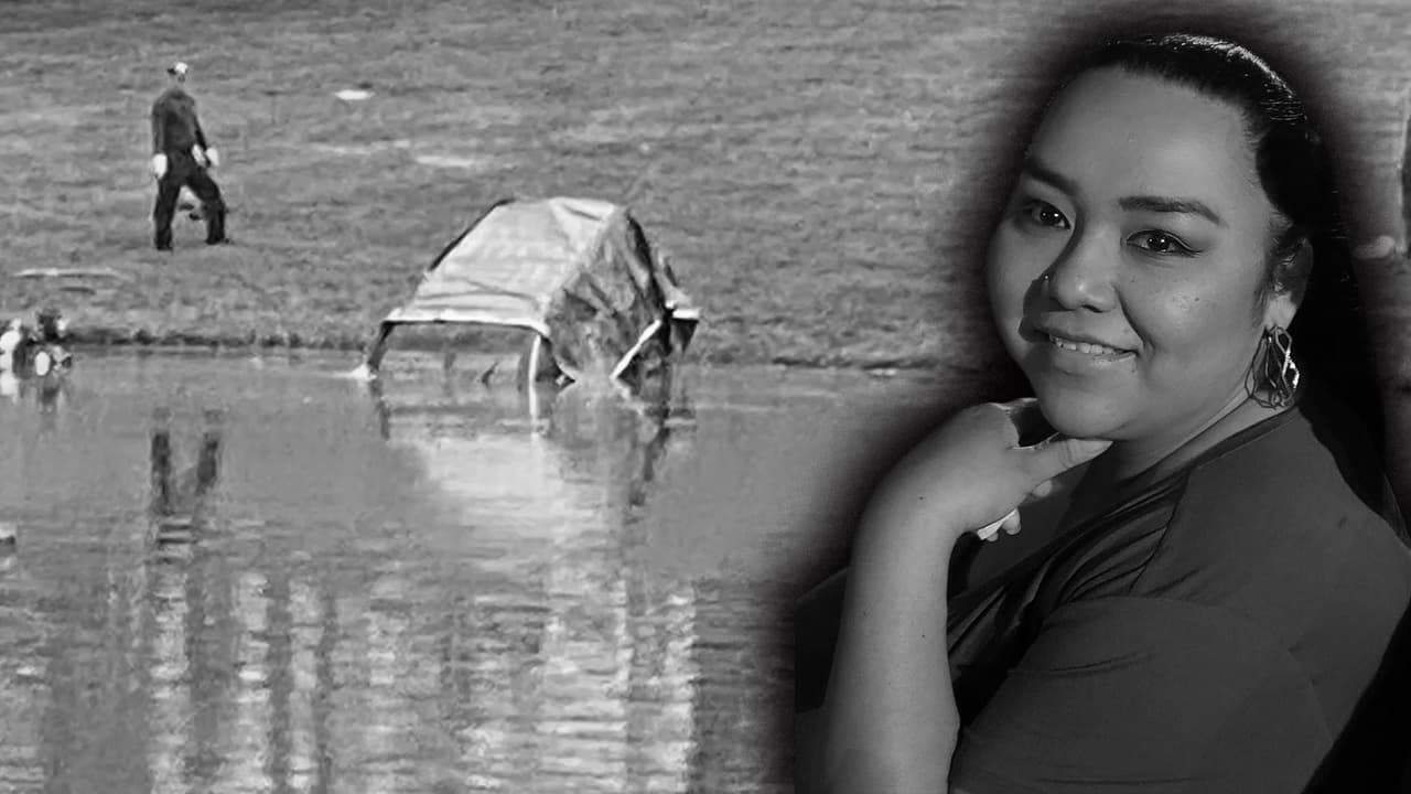 Desde que comenzaron a sacar la camioneta, testigos dijeron que era la que conducía
<b><a href="https://www.univision.com/local/houston-kxln/desaparecida-erica-hernandez-busqueda-madre-autoridades-houston-fotos-1">la señora Hernández</a></b> la noche que desapareció.