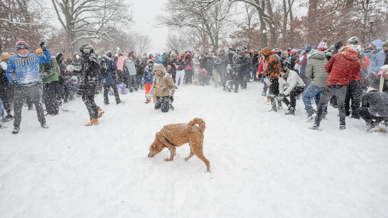 En estas ciudades del DMV se han reportado los acumulados más altos de nieve