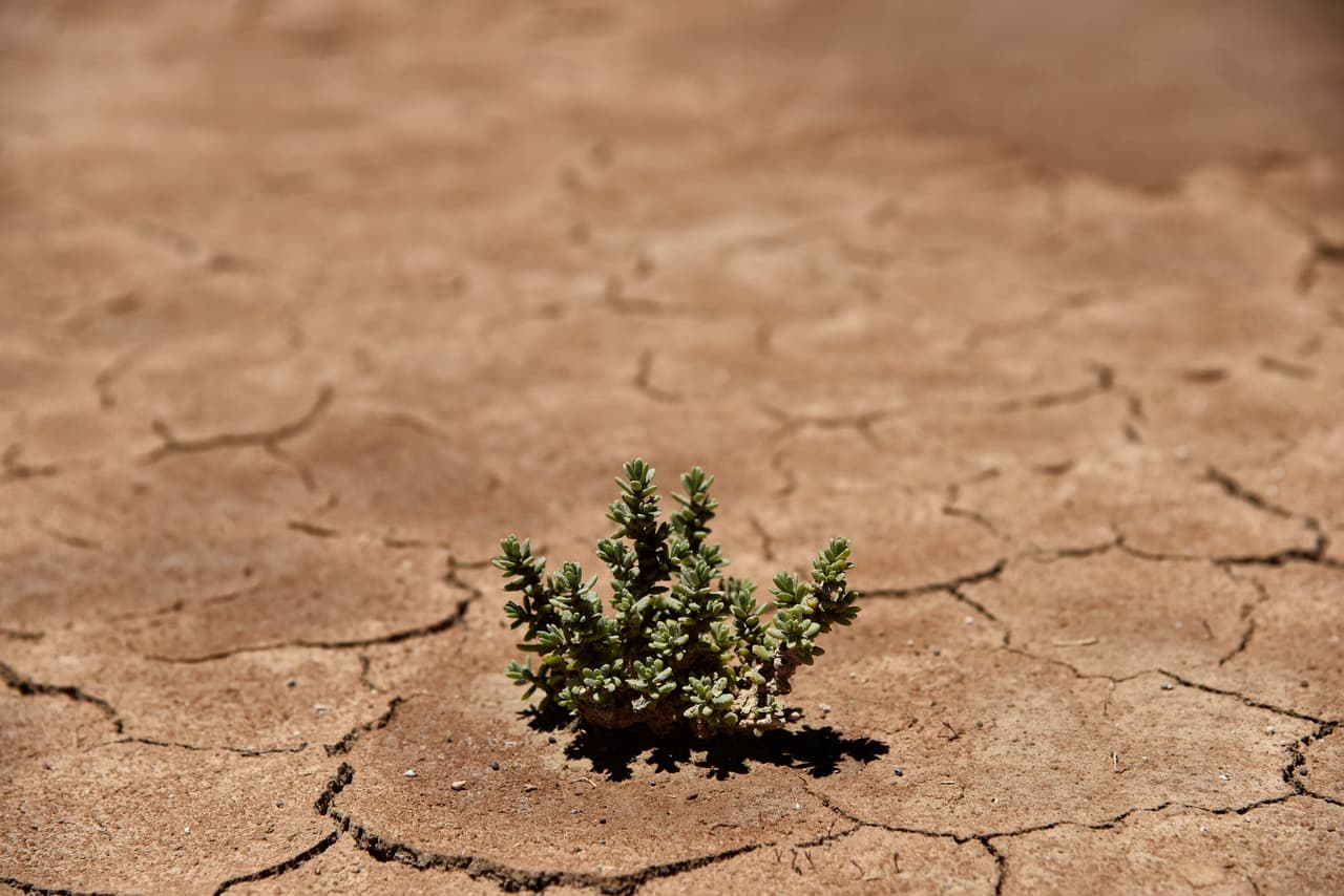 Según los expertos, la evaporación del lago se debió a un ciclo regresivo sumado a una serie de factores como la desviación de aguas para la agricultura, la contaminación minera y el cambio climático. En 1985, sus aguas abarcaban una extensión de 4,000 kilómetros cuadrados, según datos oficiales.
<br>