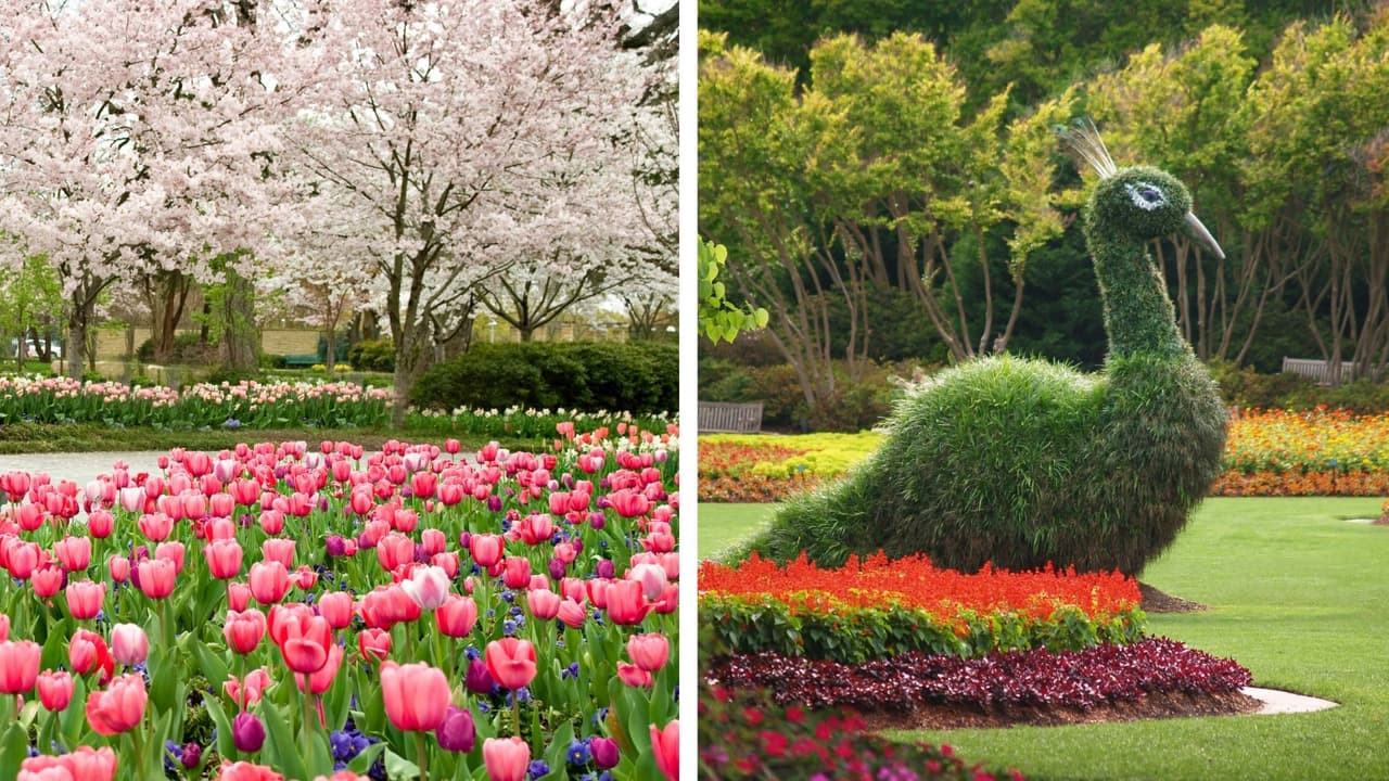 Dallas Arboretum promo image jardines