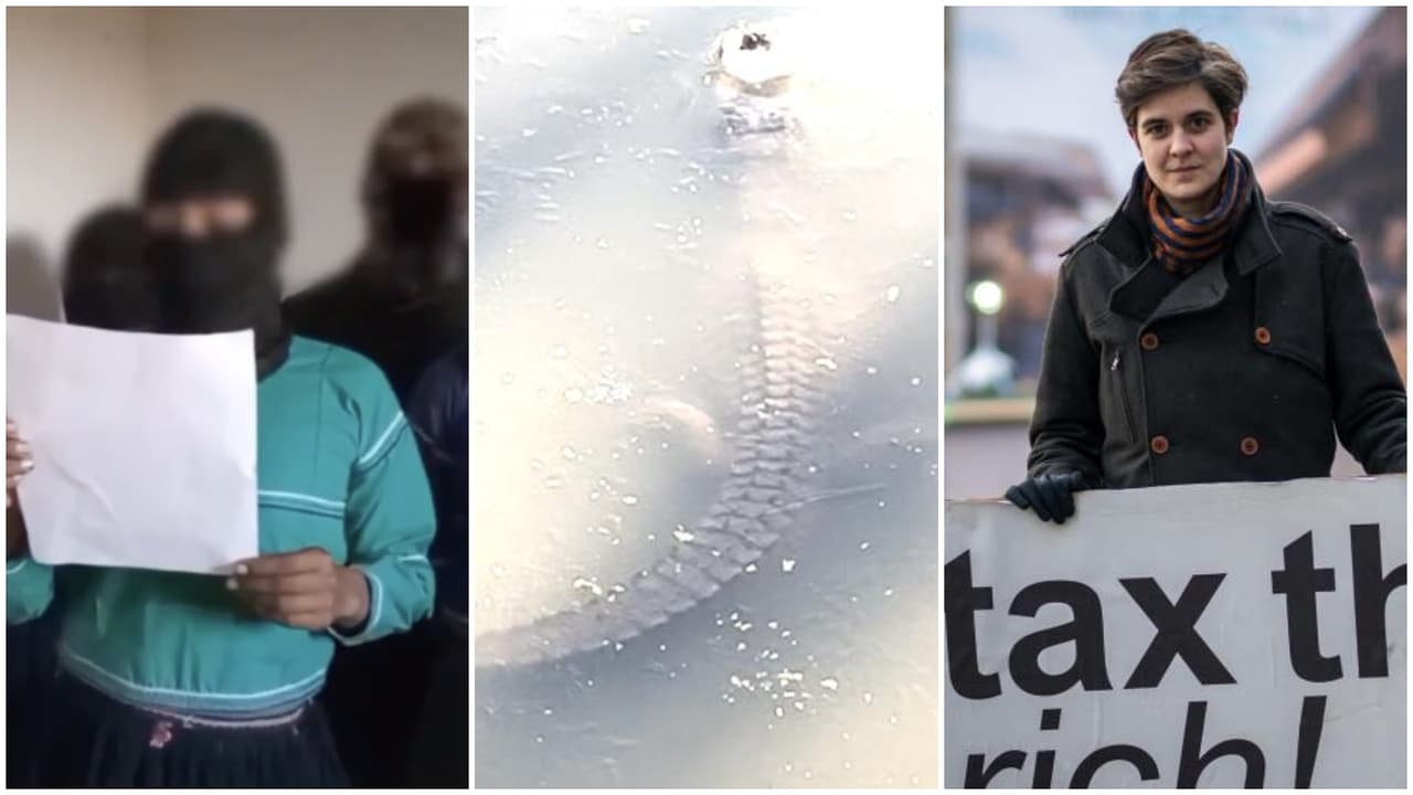 La semana en video: Un caimán sobrevive bajo un lago congelado y una joven busca repartir su millonaria herencia