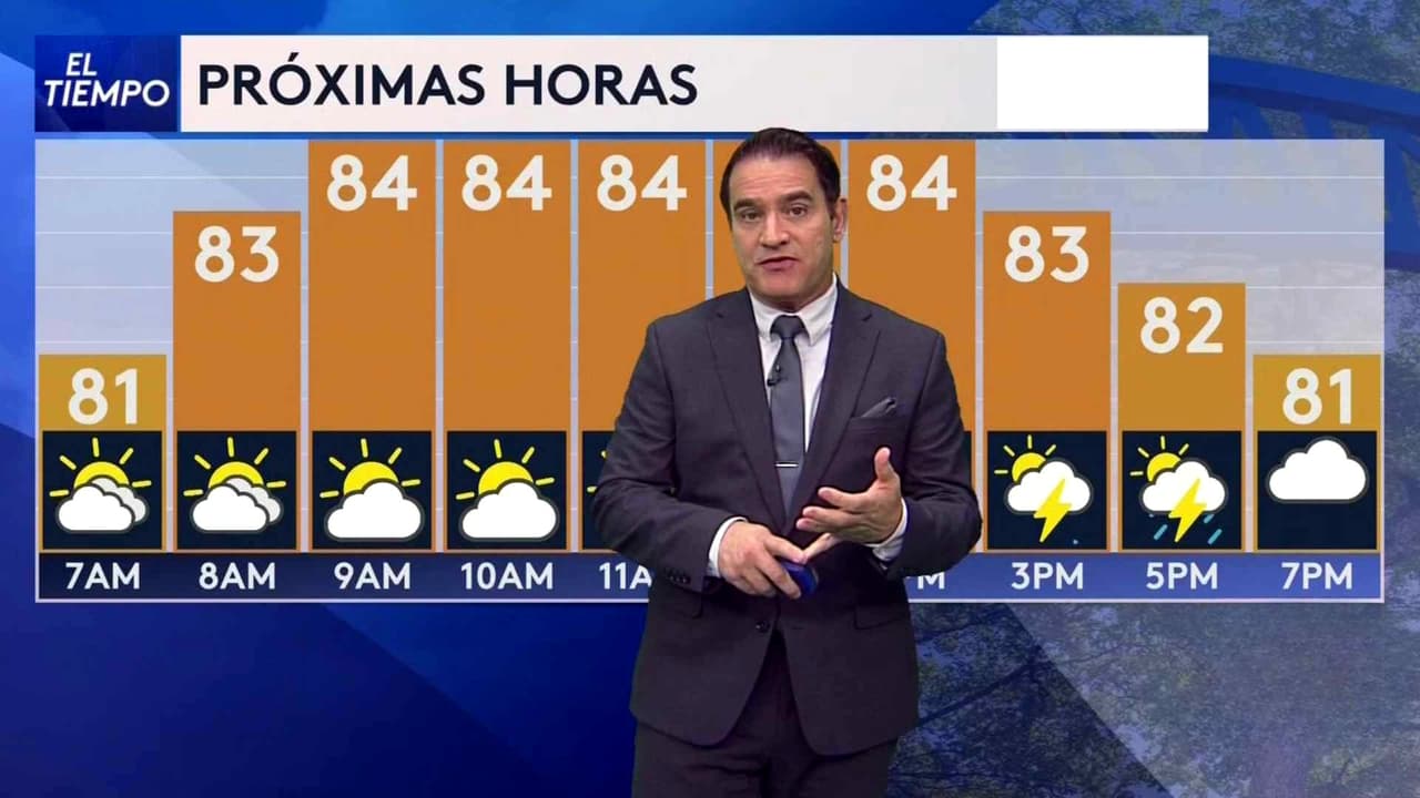 Pronóstico del tiempo hoy en Miami: Día cálido húmedo con ráfagas de viento; el termómetro alcanzará 84 °F