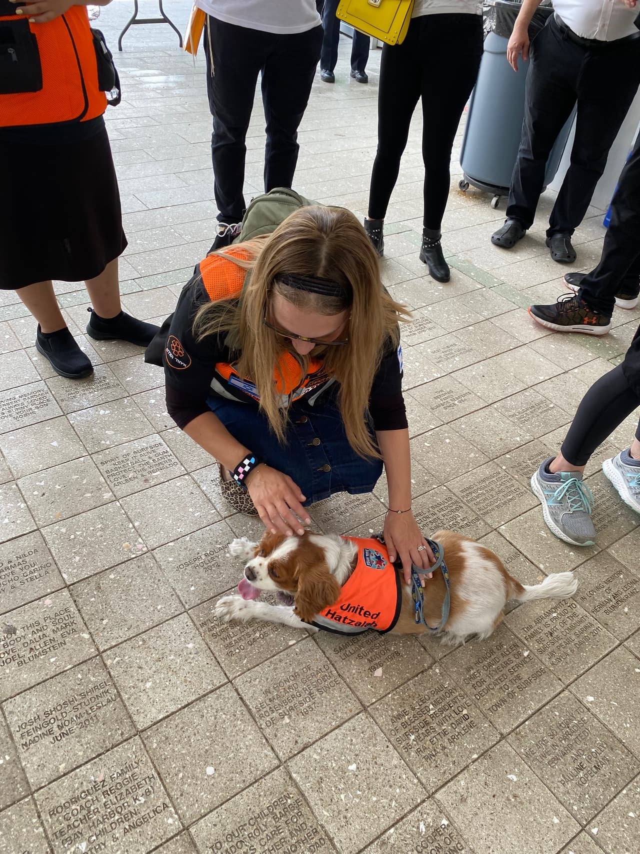 Batya Jaffe, trabajadora social de la organización israelí United Hatzalah, viajó a Surfside para prestar ayuda psicológica junto a su perra Lucy.