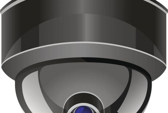 El régimen cubano habla sobre “los cinco de la Red Avispa”, pero en realidad no fueron cinco los espías de la Red Avispa, sino más de dos docenas, que clasificamos como "Grupo de los 5", alabados por Cuba; "Grupo de los 7 despreciados por Cuba"; "Grupo de los -al menos- 6" que se escaparon de las autoridades y huyeron a Cuba, y "Grupo de los 4" que recibieron protección de EEUU. relacionamos a continuación en varias categorías.