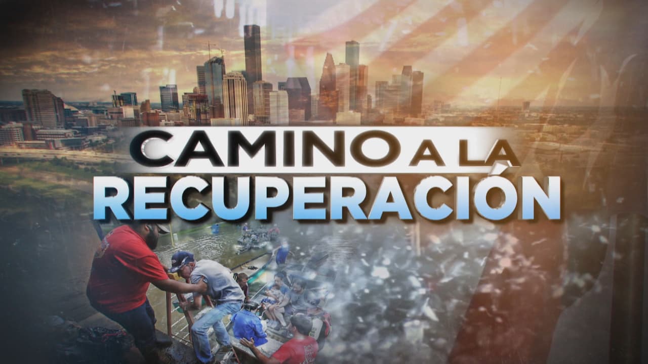 Camino a la recuperación tras el paso del huracán Harvey