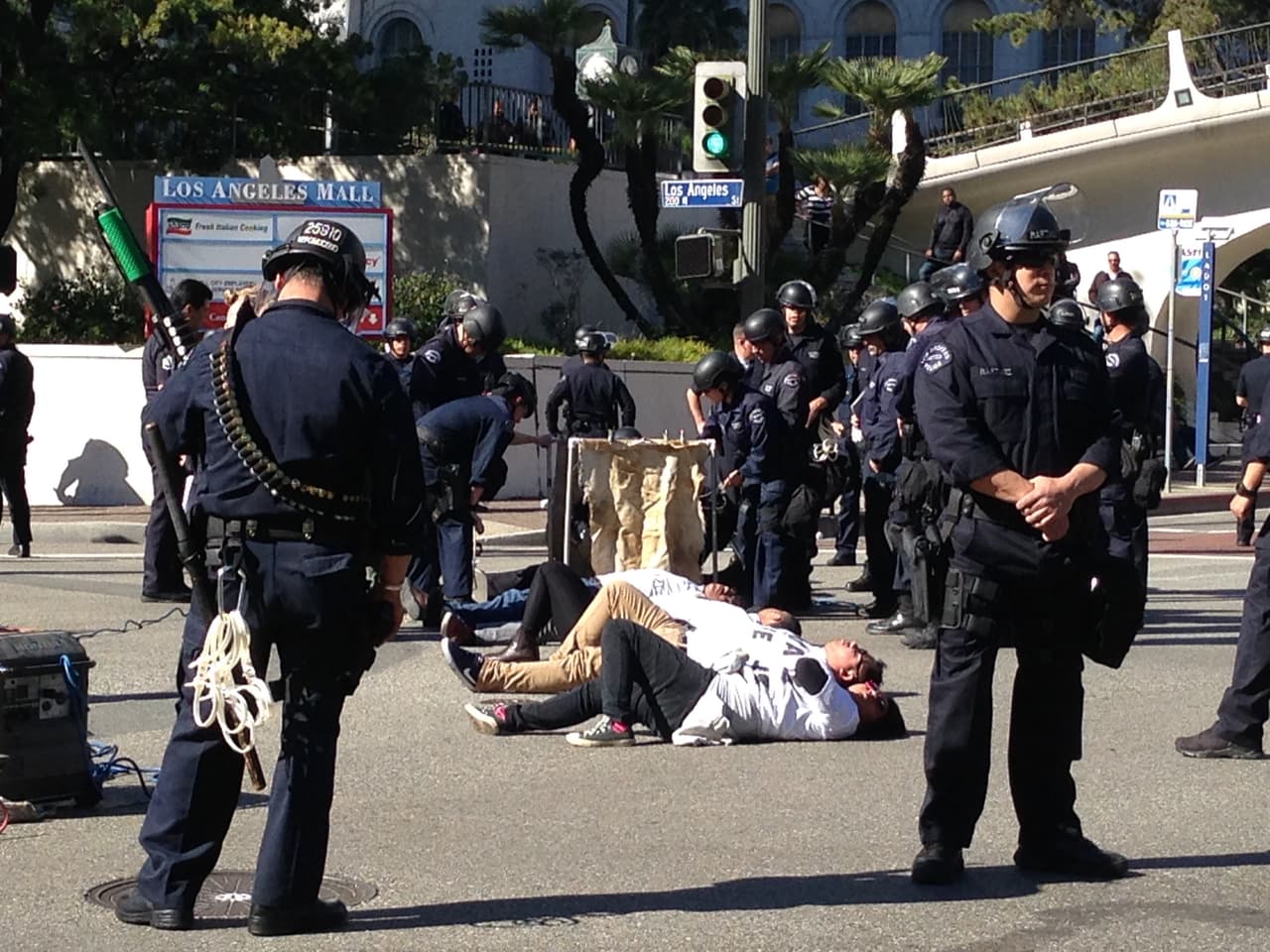 Miembros del LAPD laboraron cuidadosamente para separar a los activistas.