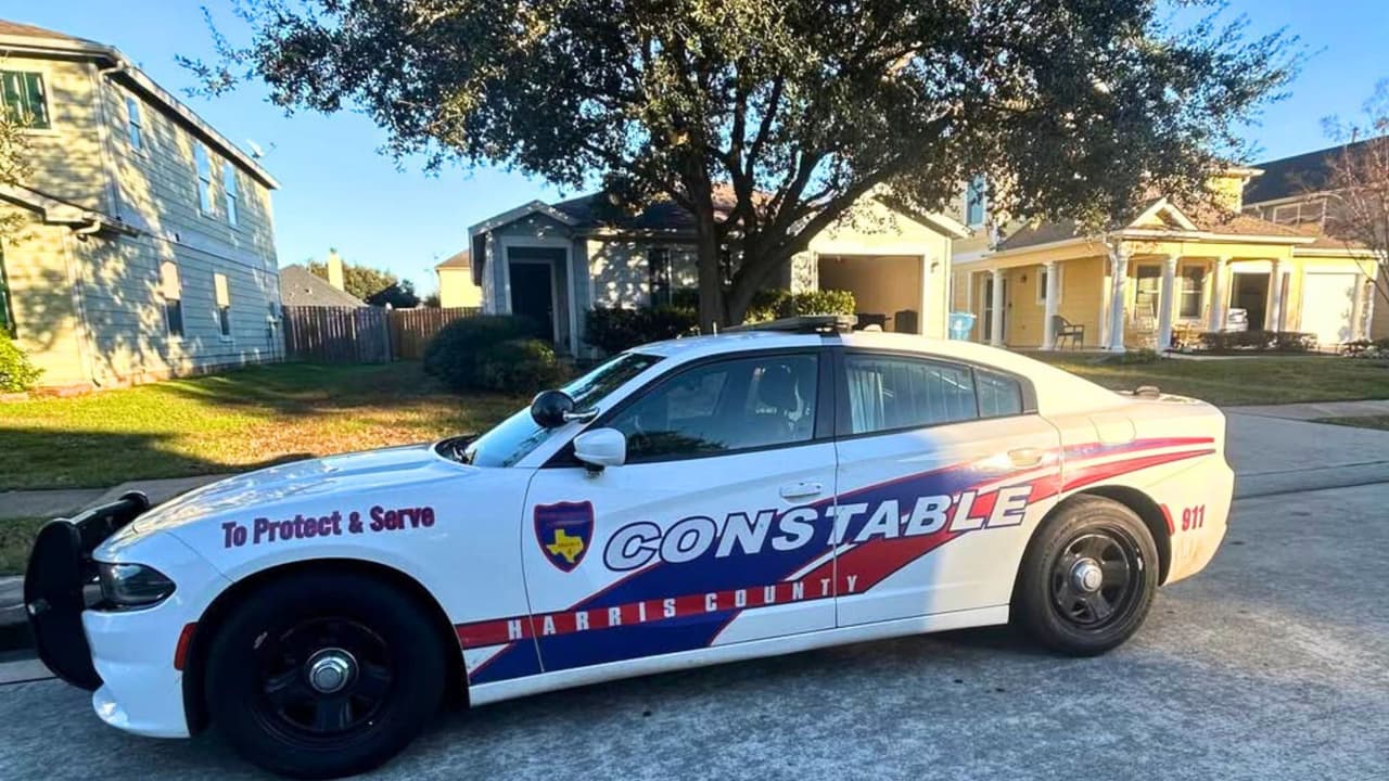 Un niño de 8 años queda gravemente herido tras ser atacado por un perro pitbull en Houston