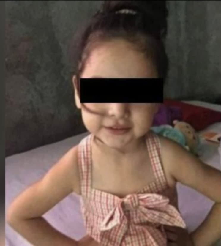 Tras quedarse pasmado entre las huellas de violencia pasada -producto de quemaduras-, el cráneo desfigurado y los golpes por todo su cuerpo de tan solo
<a href="https://www.univision.com/temas/menores-de-edad">tres años</a>, el oficial supo que
<b>se encontraba ante lo más fuerte que le había pasado</b> y se prometió que no descansaría hasta darle justicia a la niña.
<b> </b>