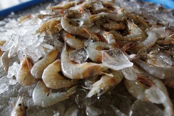 Quién no aprovecha las oportunidades es como el camarón, se lo lleva la corriente.