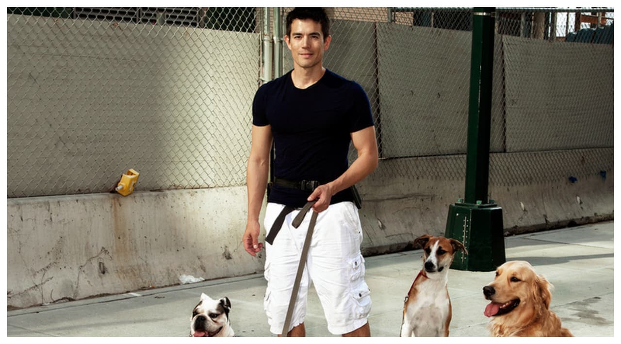 Caminador de perros gana $120,000 al año y trabaja 7 horas al día: Este es su secreto