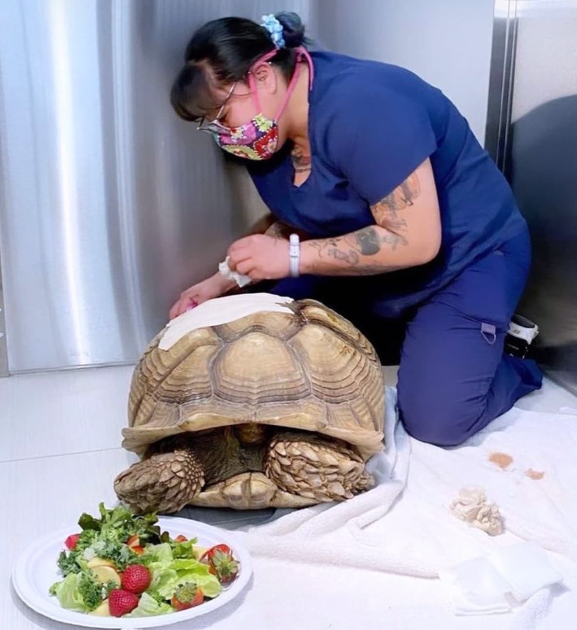 El pasado 30 de junio a las 11:30 am varios agentes respondieron a la cuadra 500 de Massar Avenue luego de recibir reportes de un hombre actuando de manera y causando daños a las instalaciones de la escuela Play ‘N’ Learn.