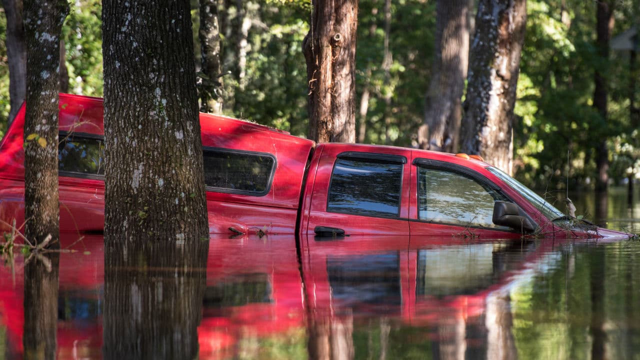 Tenía más de
<b> 20 años que al menos en Florida</b> no se registraba un fenómeno así. Miles y miles de autos y camionetas quedaron inservibles, ya sea por los altos niveles de agua o por la caída de árboles sobre ellos.