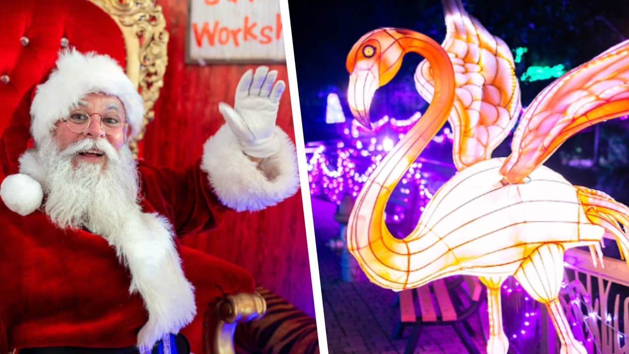 <b>Más de 2 millones de luces darán brillo al Zoológico de Dallas</b>, acompañadas de un espectáculo sincronizado con música navideña. No te pierdas la oportunidad de visitar la Aldea de Santa y obtener una foto gratuita con él. 
<br>💰 
<b>Las entradas cuestan $22 para personas de 12 a 64 años</b>, $18 para niños de 3 a 11 años y adultos mayores de 65 años, y 
<b>son gratis para niños menores de 2 años</b>. El estacionamiento tiene un costo adicional de $12.
<br>⏰ Hasta el 2 de enero, 
<b>de 5:30 a 10 p.m</b>.
<br>📍 
<a href="https://maps.app.goo.gl/6xJJsVjzJrDbJHVv7" target="_blank">650 S R.L. Thornton Fwy, Dallas</a>