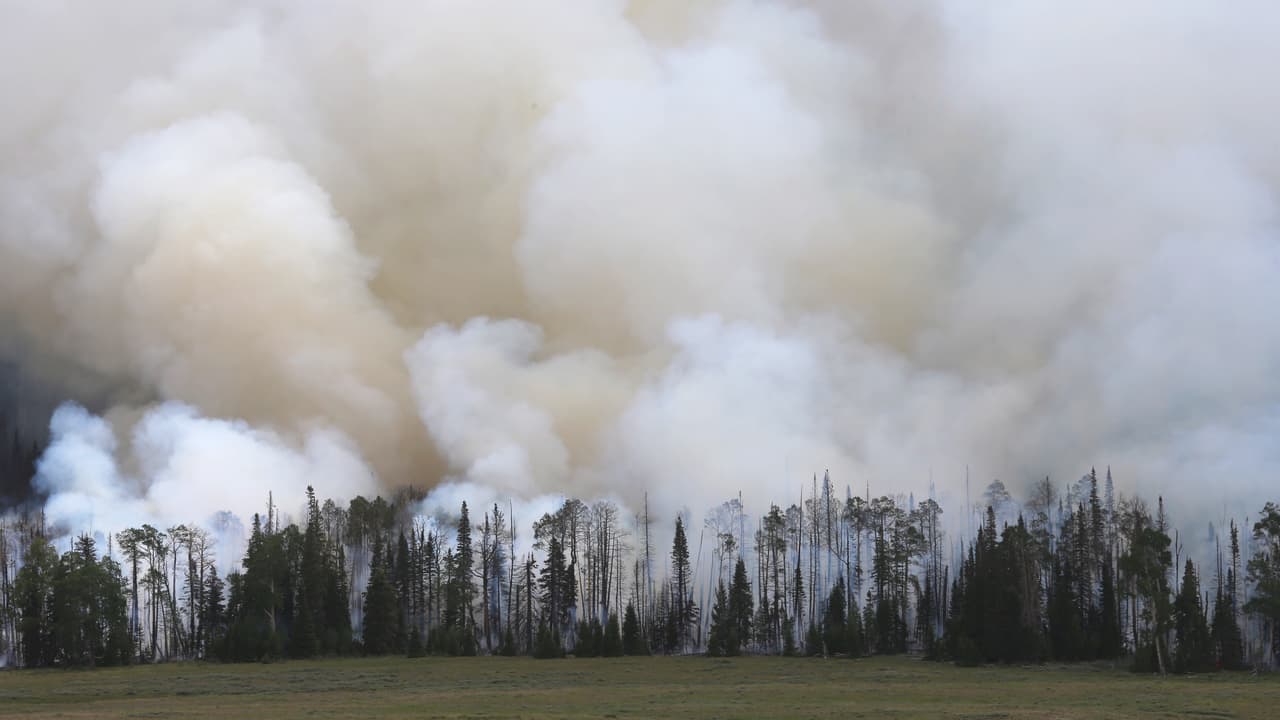 Siguen activos varios incendios forestales que se desataron el fin de semana en Utah