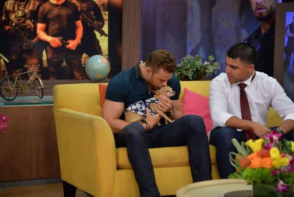 Kellan Lutz en Despierta América