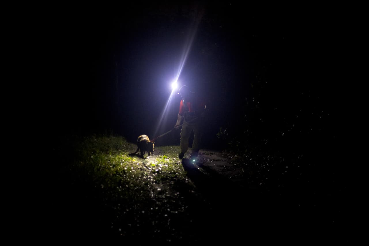 Un rescatista atrapa a un perro con un gancho durante la tormenta en Wilmington, Carolina del Norte.