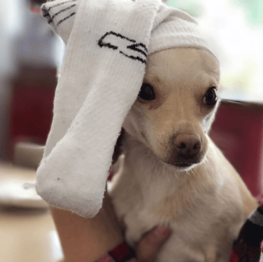 ‘Toñita’ es víctima de algunas travesuras de la familia Duval y la actriz llena de risas sus redes sociales.