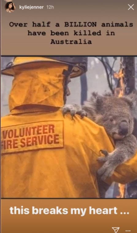 A principios de enero pasado, fue criticada en redes sociales por compartir este mensaje en su cuenta de Instagram en donde hablaba de los cientos de 
<b><a href="https://www.univision.com/entretenimiento/kardashian/kylie-jenner-adopta-un-conejito-y-le-llama-bruce" target="_blank">animales que estaban muriendo </a></b>por los incendios forestales que se suscitaron por aquellas fechas en Australia. 
<br>