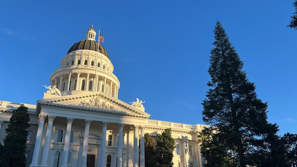 Hoy será la ceremonia de encendido del árbol navideño en el Capitolio