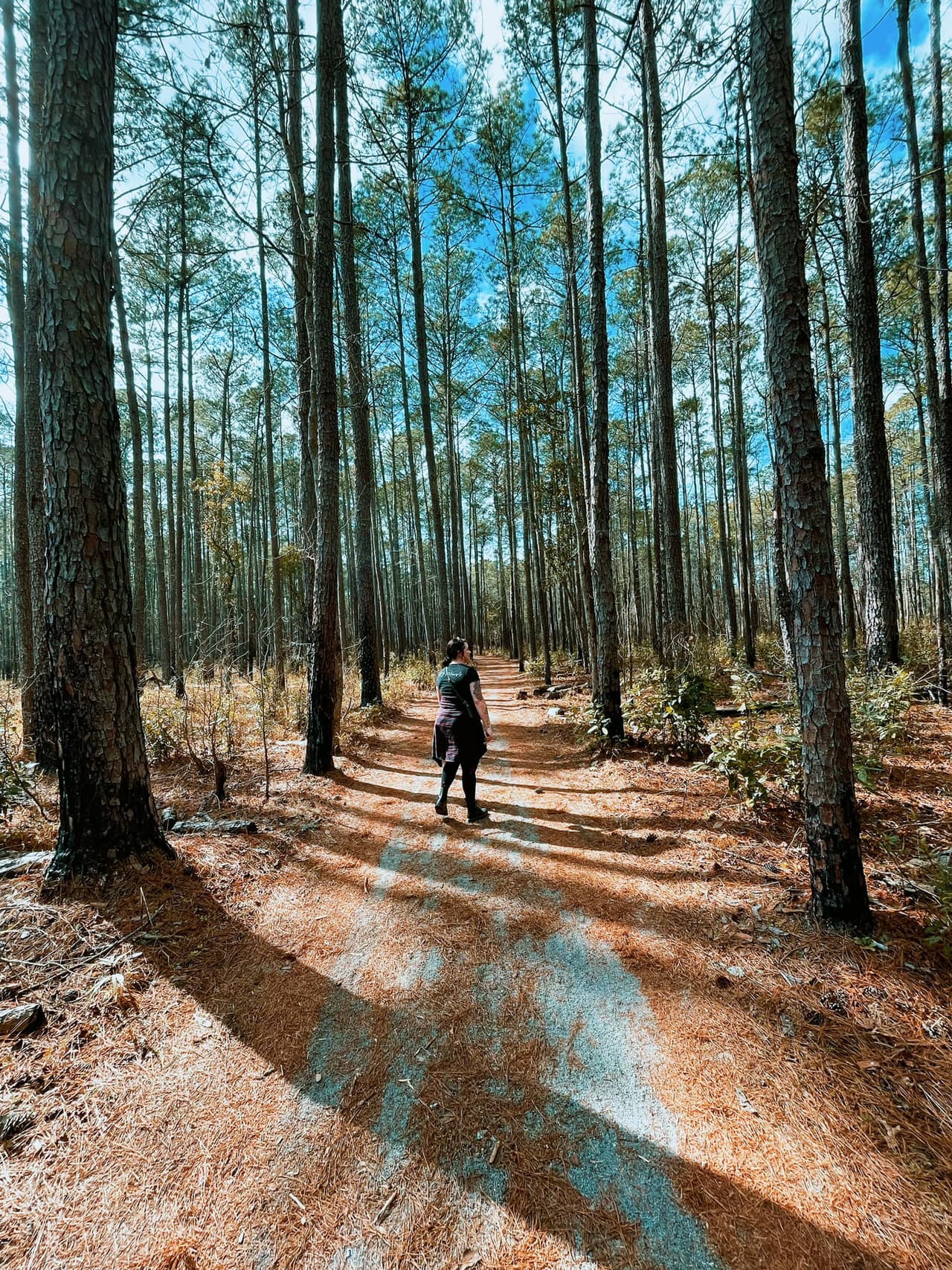 El parque ofrece además oportunidades para hacer senderismo.