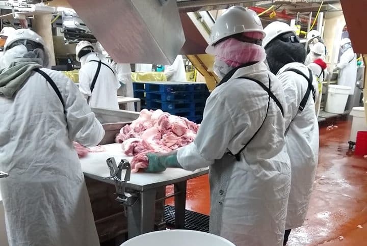 Smithfield workers on the production line before the plant closure.