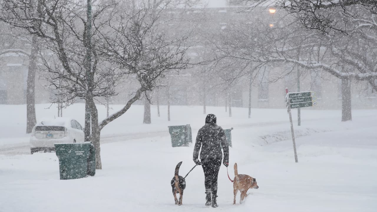 Nieve ligera es posible este miércoles en algunos sectores del área de Chicago.