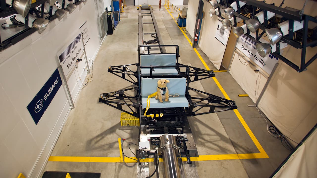 <h3 class="cms-H3-H3"><b>Elegir el equipo adecuado - Calidad del equipo</b></h3>
<br>En su 
<a href="https://www.centerforpetsafety.org/" target="_blank">sitio web</a>, el ‘Center for Pet Safety’ ofrece una gran cantidad de información sobre el tema, e indica cuales son los productos aprobados por esta organización a través de su sello especial. 
<br>