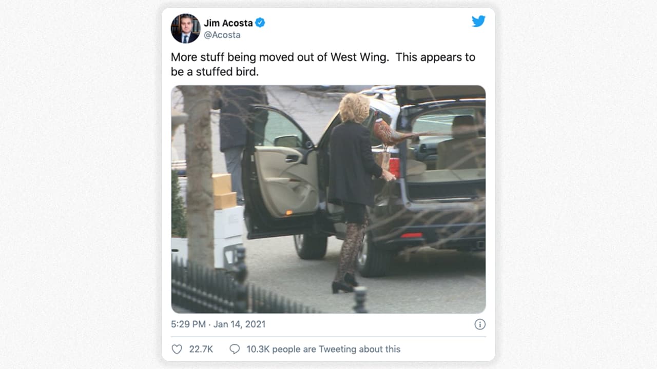 Jim Acosta, corresponsal de CNN en la Casa Blanca, 
<a href="https://twitter.com/Acosta/status/1349846046868992001"><u>publicó una fotografía</u></a> que muestra personas sacando objetos de la mansión presidencial. “Están mudando más cosas del ala oeste. Esto parece ser un pájaro disecado”, escribió Acosta junto a esta fotografía.