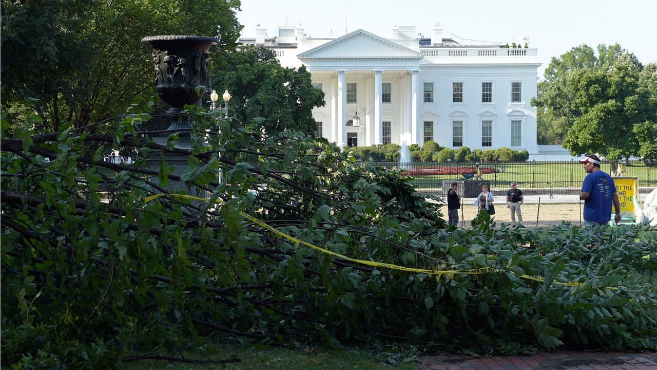 Un árbol cayó enfrente de la Casa Blanca en julio de 2016.