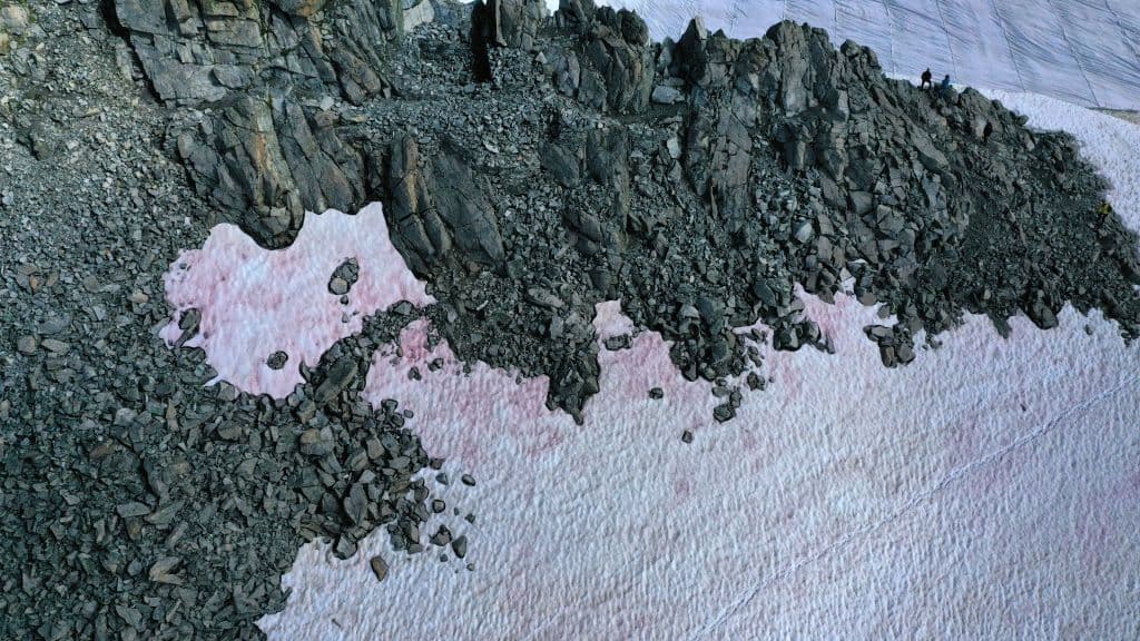 Una imagen aérea muestra el color rosado de la nieve del glaciar Presena, cerca de la localidad de Pelizzano, en la provincia de Trento.