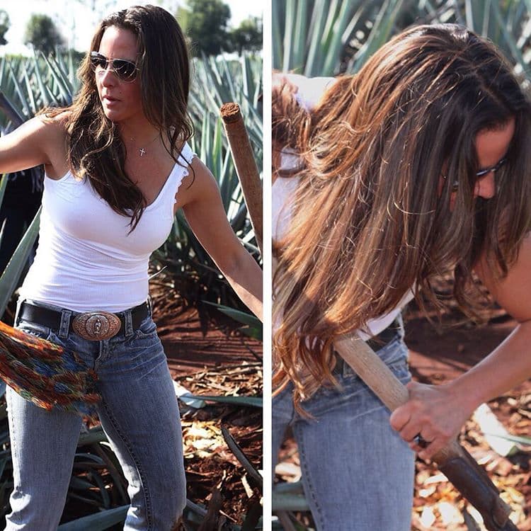 Kate llevaba mucho tiempo trabajando en este proyecto.