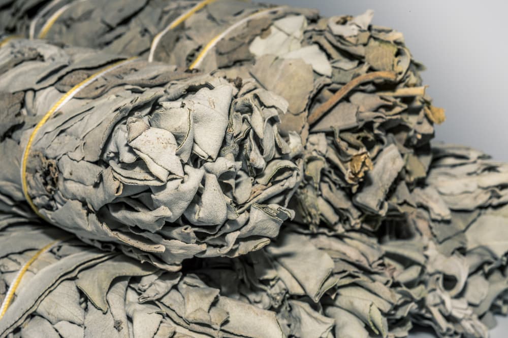 Inclusive hay viejas leyendas desde hace siglos en las que la salvia se utilizaba para expulsar a los los demonios, brujas y hasta en exorcismos.