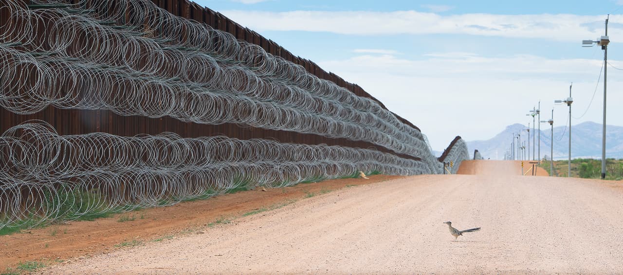 Esta fotografía de un correcaminos detenido frente a la robusta barrera limítrofe ganó el segundo lugar en la categoría ‘naturaleza’ del premio 
<a href="https://www.worldpressphoto.org/collection/photo/2020/39639/1/Alejandro-Prieto" target="_blank">World Press Photo 2020</a>. 
<a href="https://www.univision.com/noticias/las-fotografias-mas-impactantes-del-ano-revelan-los-ganadores-del-concurso-world-press-photo-2020-fotos"><u>Vea aquí las fotografías ganadoras del concurso World Press Photo 2020</u></a>