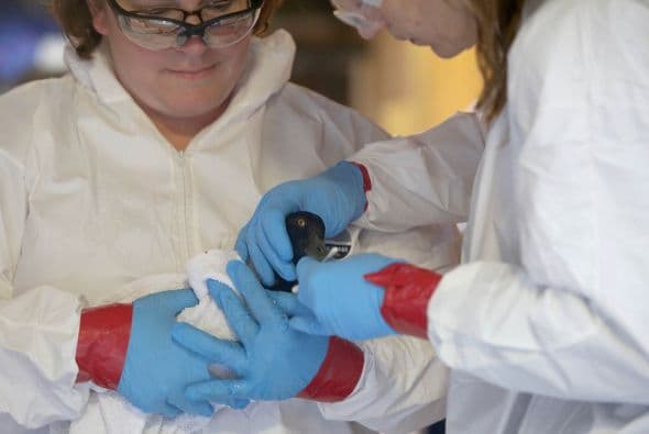 Continúan las labores de limpieza tras derrame de petróleo