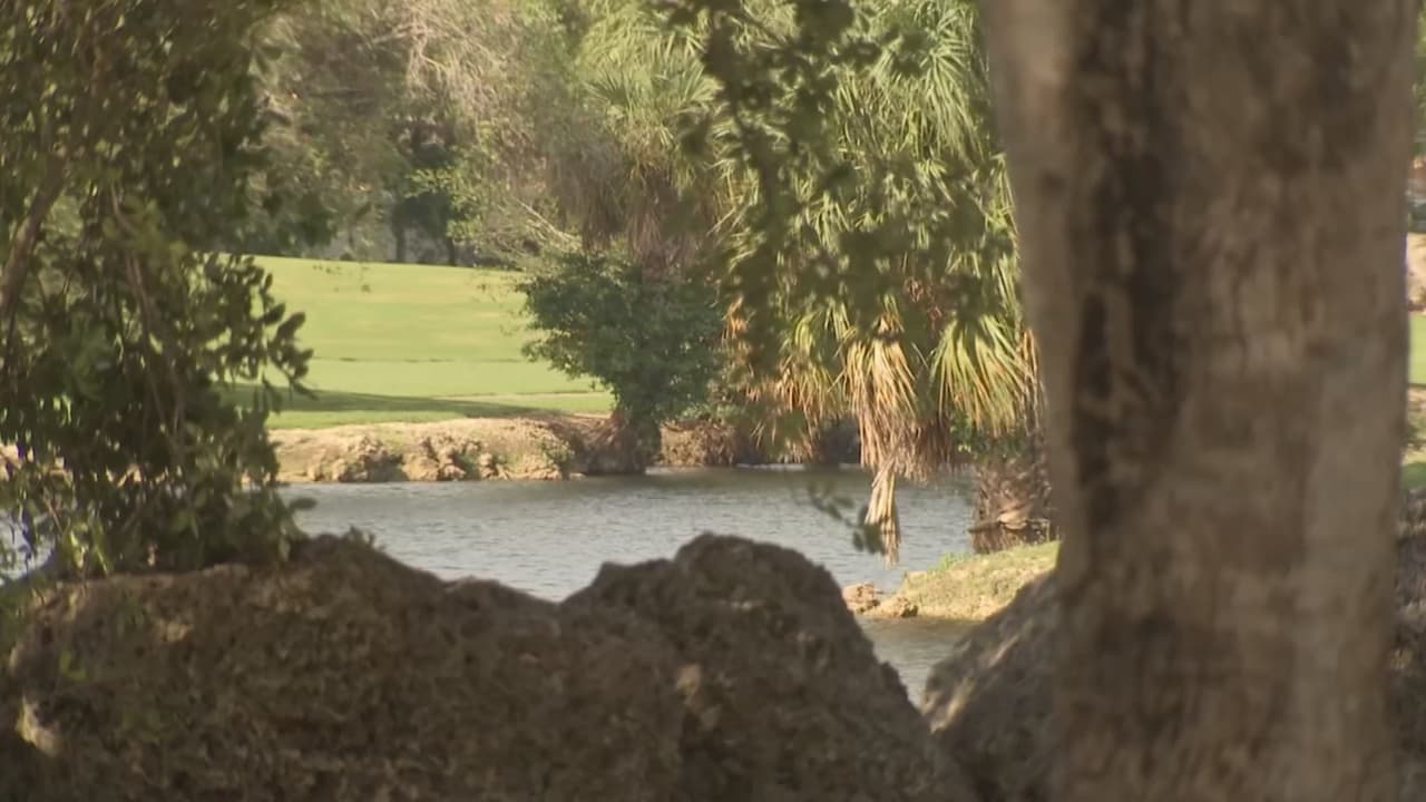 El viernes 22 de mayo en la mañana, una persona que caminaba cerca del Miccosukee Golf y Country Club en el área de The Hammocks, avisó a las autoridades cerca de las 7:50 am del 
<b><a href="https://www.univision.com/local/miami-wltv/un-video-podria-ser-la-clave-para-resolver-el-caso-del-nino-con-autismo-hallado-muerto-en-miami-dade">hallazgo del cuerpo del niño en un canal. </a></b>