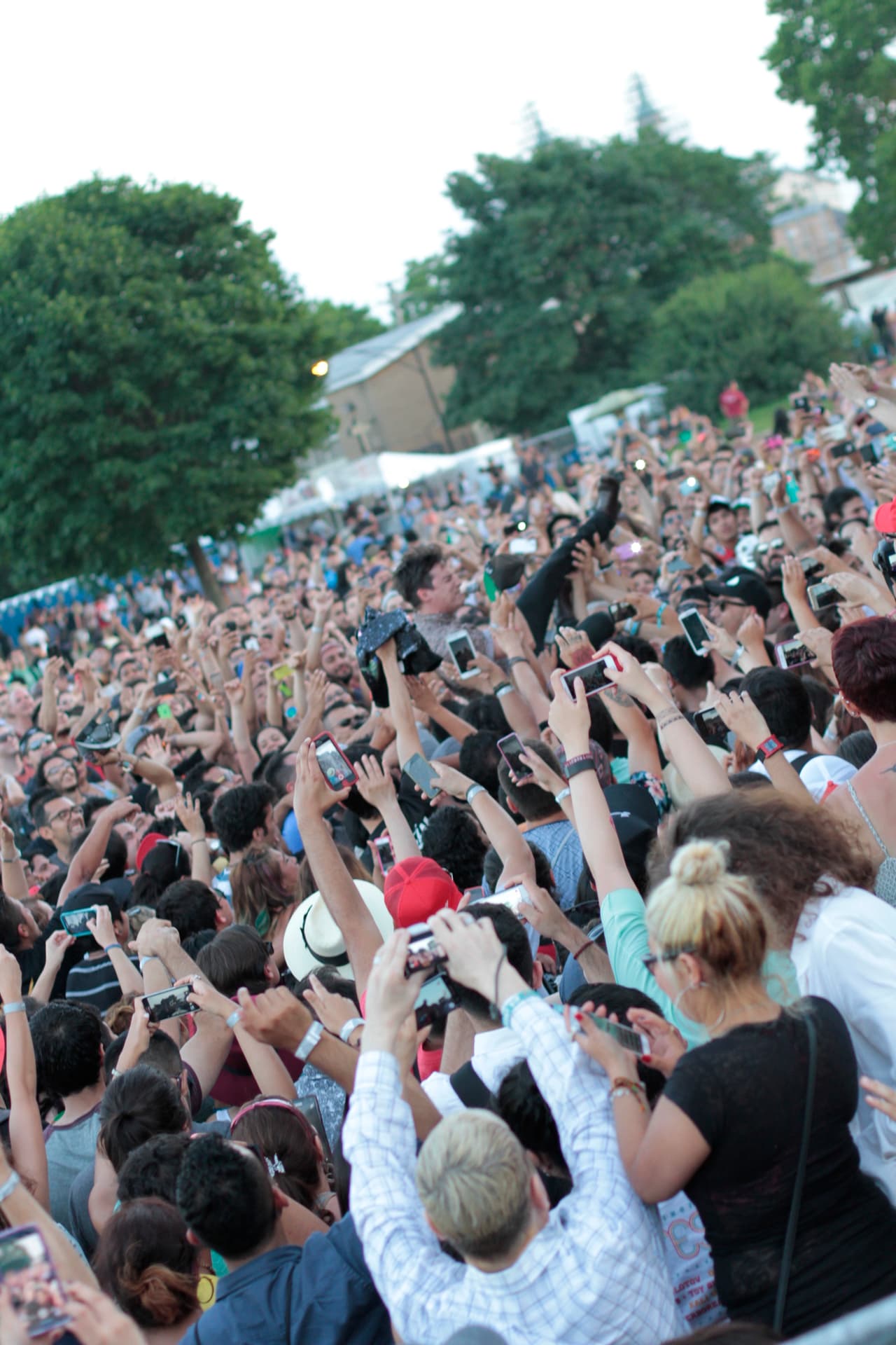 Café Tacuba, Molotov y otras conocidas y nuevas bandas se presentaron el fin de semana en la Ciudad de los Vientos