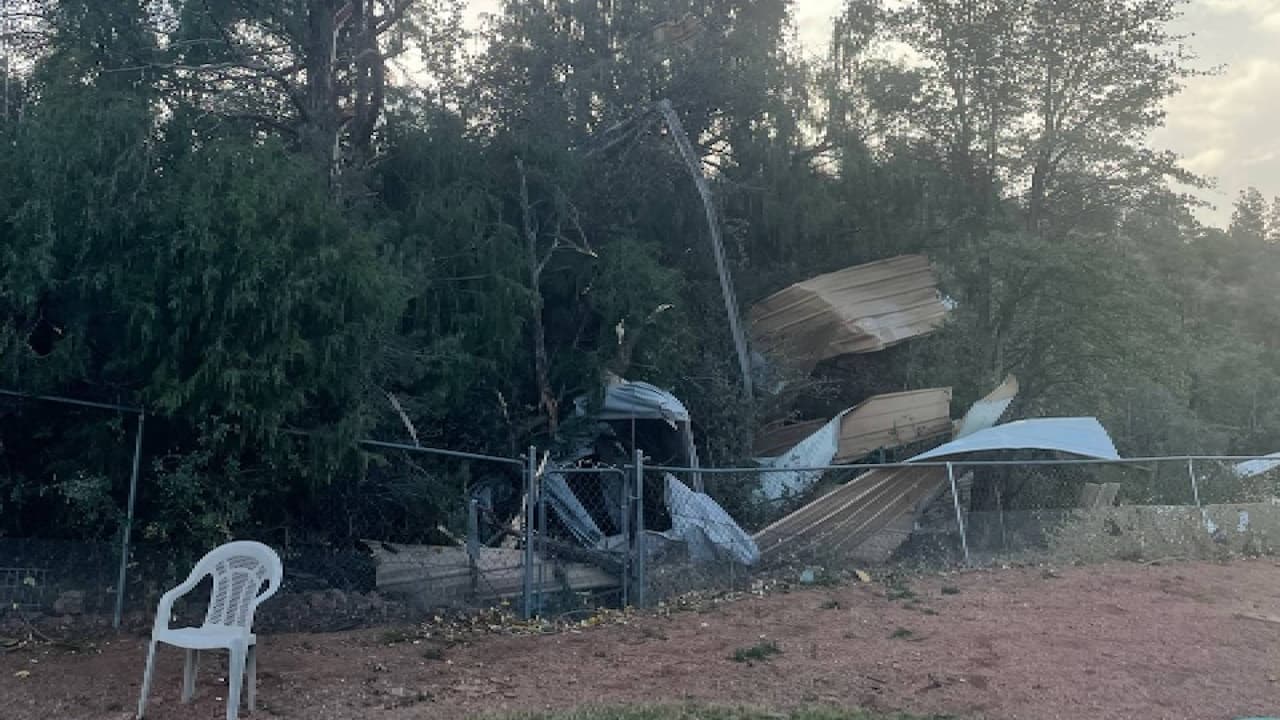 Además, los fuertes vientos derribaron árboles, señalamientos y cercas, provocando también importantes daños en algunos vehículos.