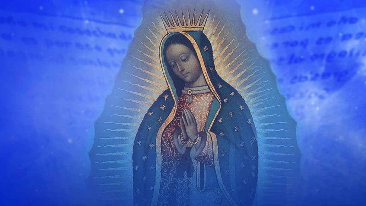 Sinopsis de La Rosa de Guadalupe