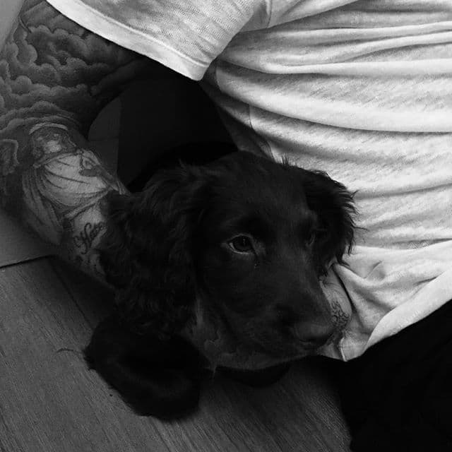 La perrita se está ganando un preciado lugar en el corazón del exfutbolista.