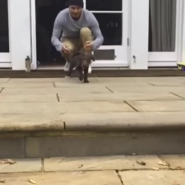 La cocker spaniel está encantada con ser el centro de atención de la glamurosa familia.